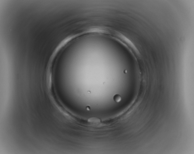 X0000114541323200910191334