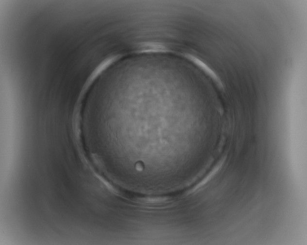 X0000114541325200910191334