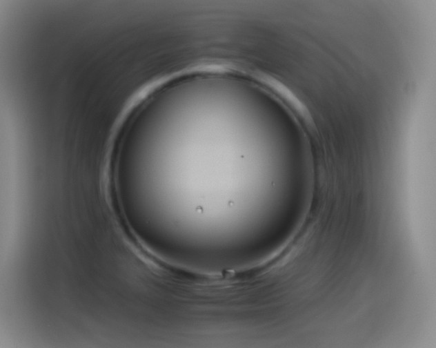 X0000114541327200910191334