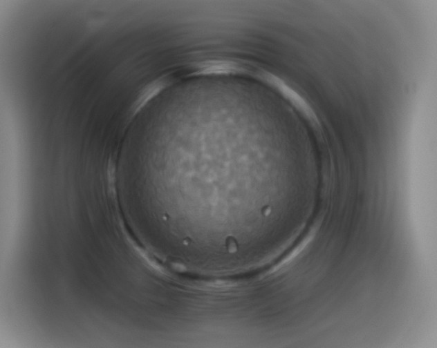 X0000114541329200910191334