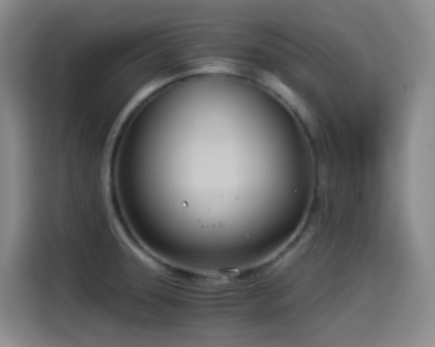 X0000114541331200910191334