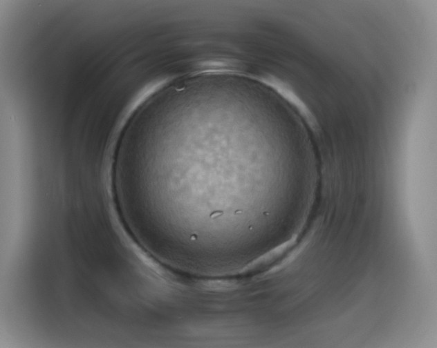 X0000114541333200910191334