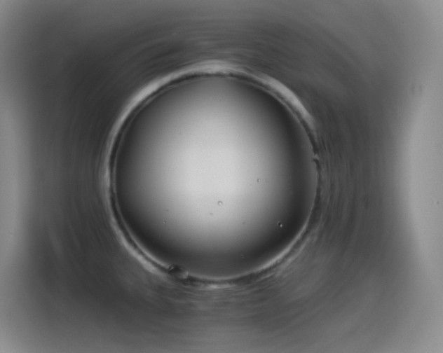 X0000114541335200910191334