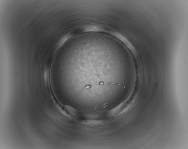 X0000114541337200910191334