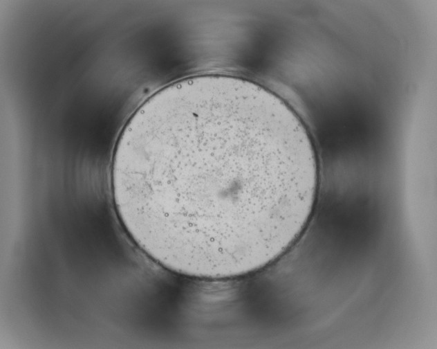 X0000114541338200910191334