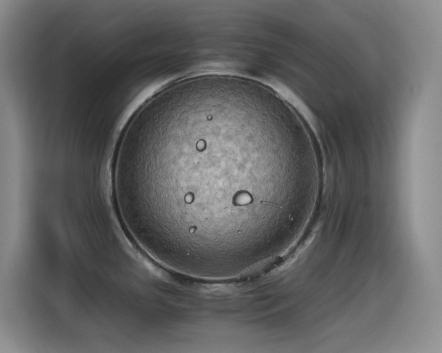 X0000114541341200910191334