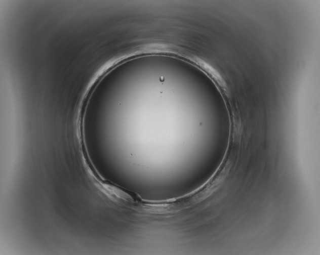 X0000114541342200910191334