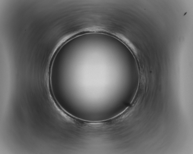 X0000114541343200910191334