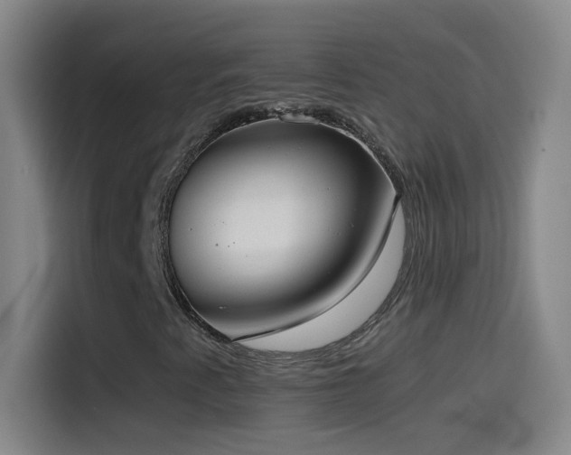 X0000114541345200910191334