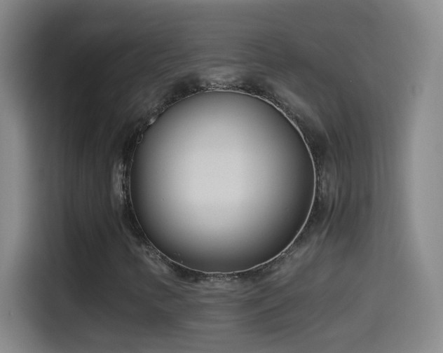 X0000114541346200910191333