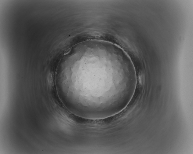 X0000114541347200910191333