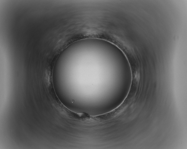 X0000114541348200910191333