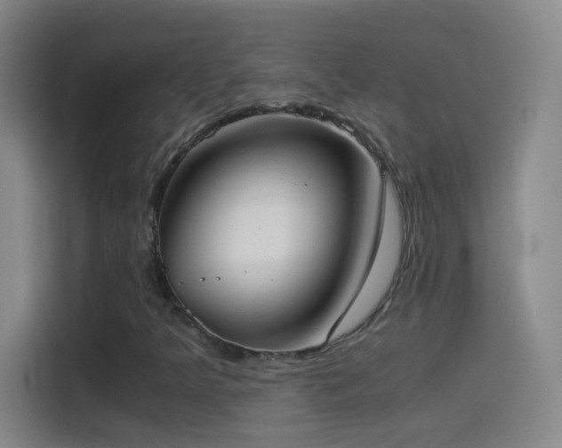 X0000114541349200910191333