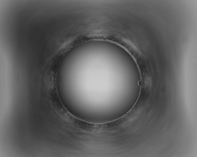 X0000114541350200910191333