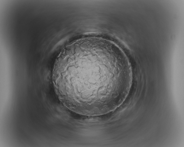 X0000114541351200910191333