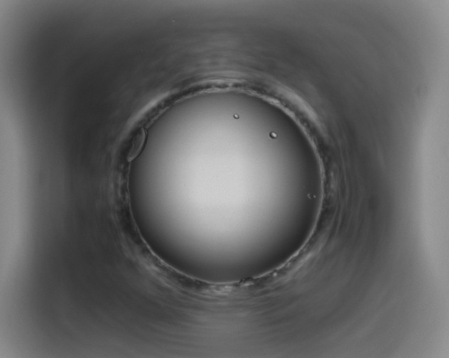 X0000114541352200910191333