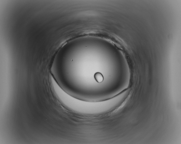 X0000114541353200910191333