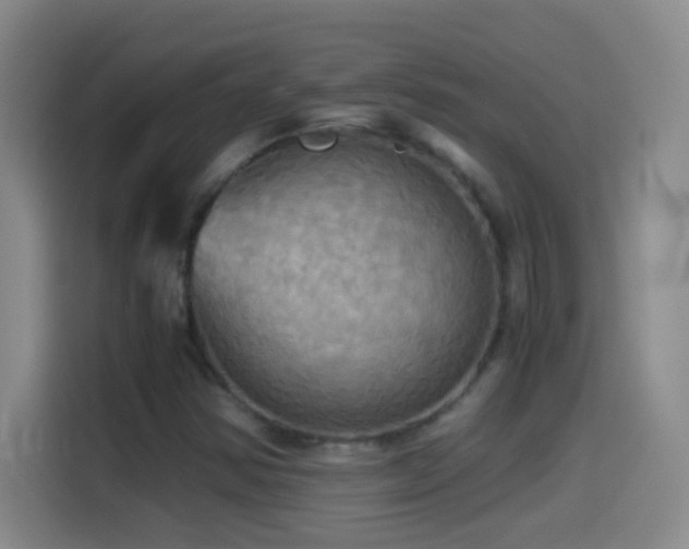 X0000114541354200910191333