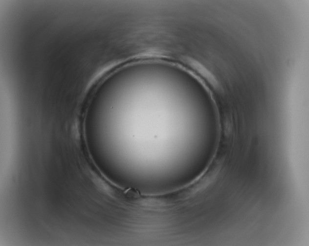 X0000114541356200910191333