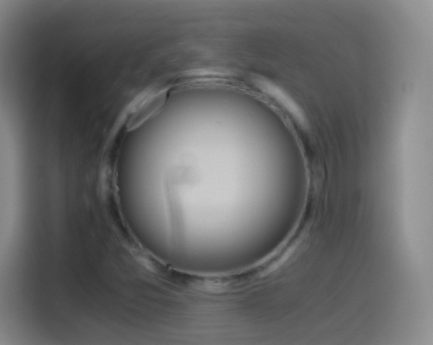 X0000114541357200910191333