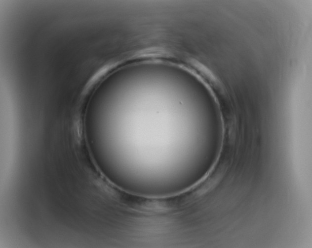 X0000114541358200910191333