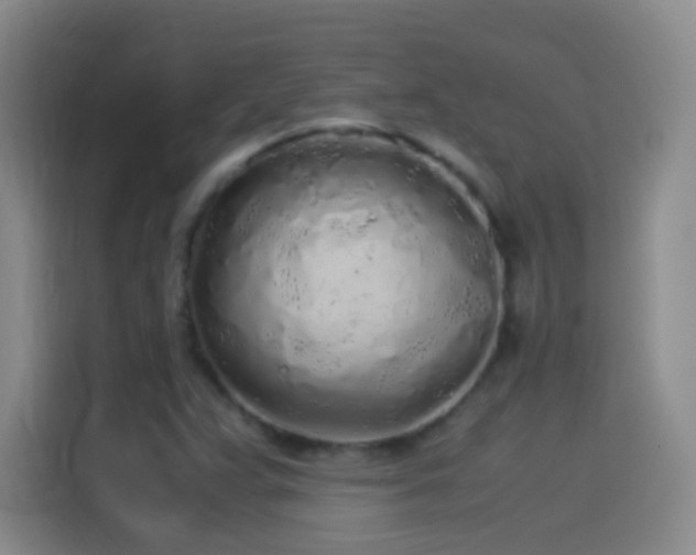 X0000114541359200910191333