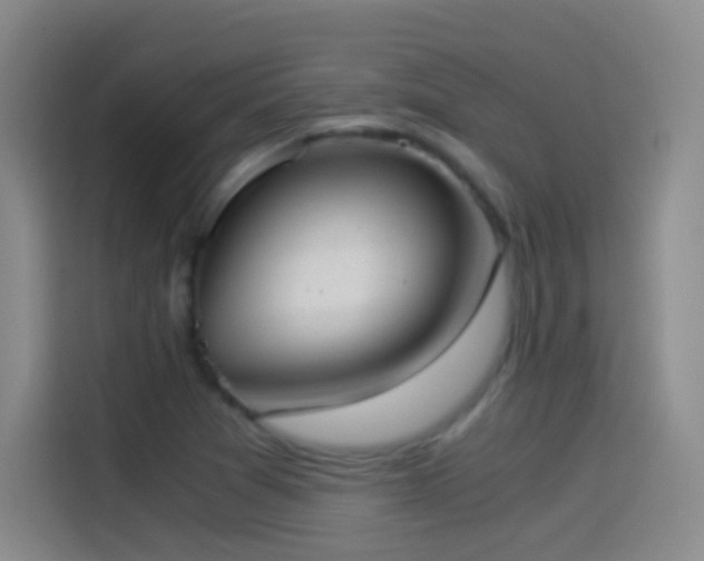 X0000114541361200910191333