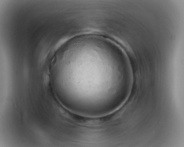 X0000114541363200910191333