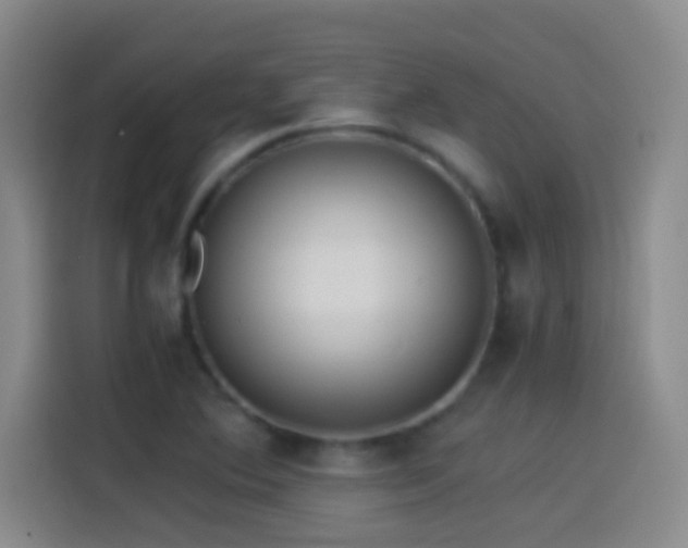 X0000114541364200910191333