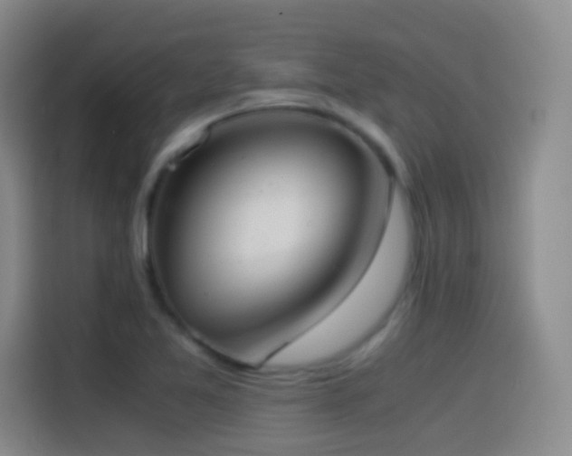 X0000114541365200910191333