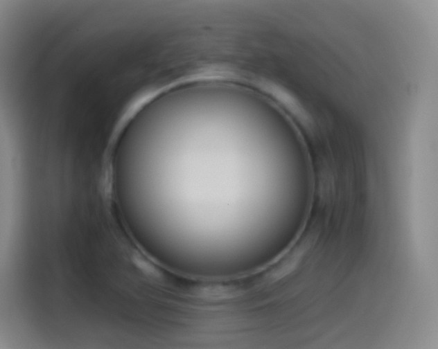 X0000114541366200910191333