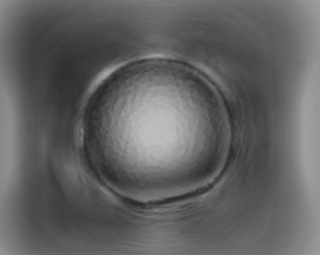 X0000114541367200910191333