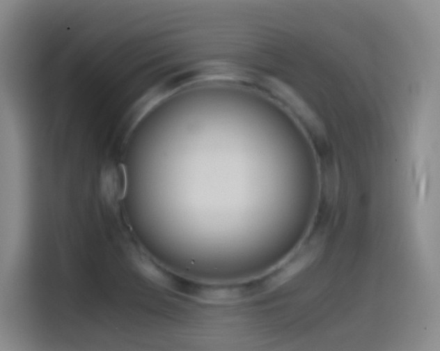 X0000114541369200910191333