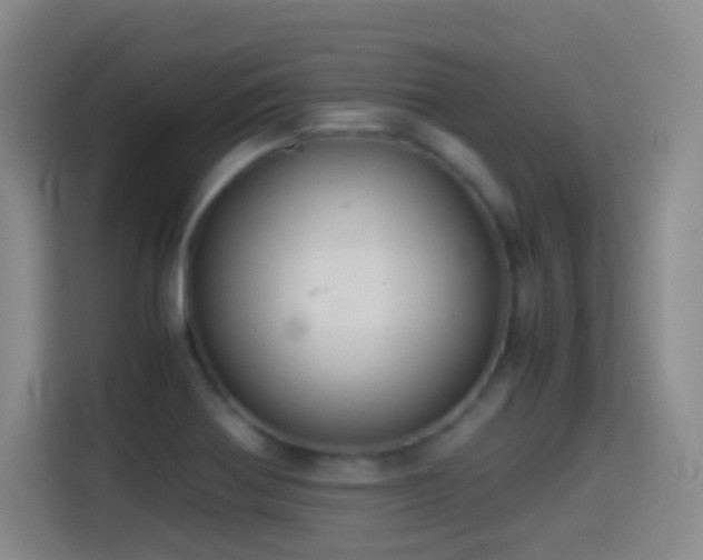 X0000114541370200910191333