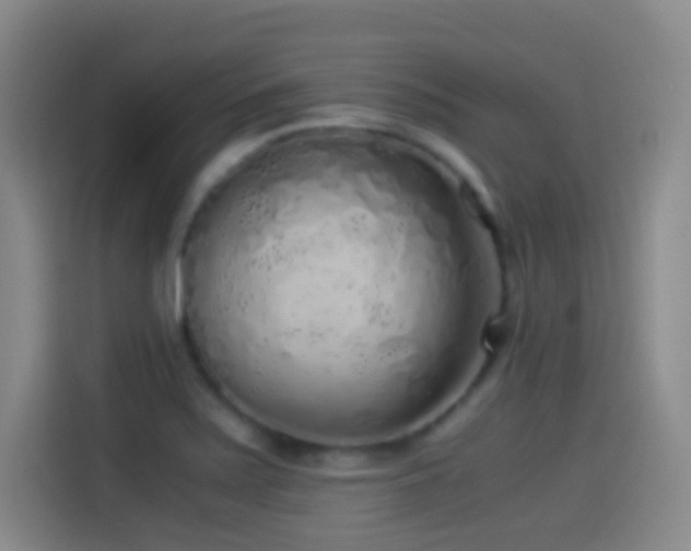 X0000114541371200910191333