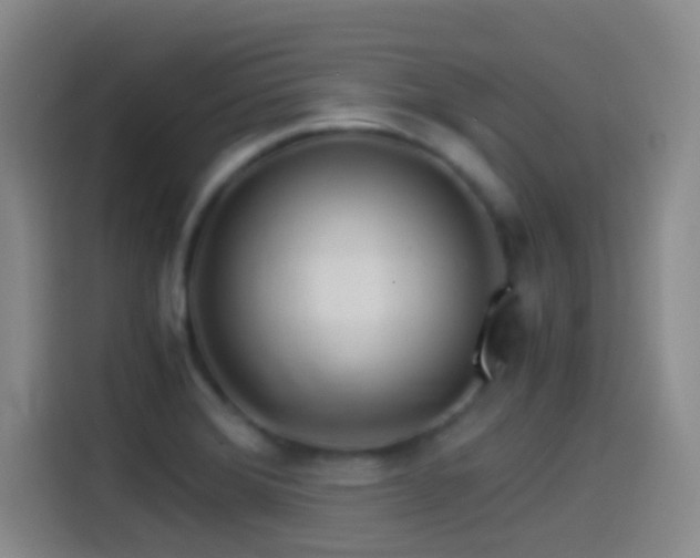 X0000114541372200910191333