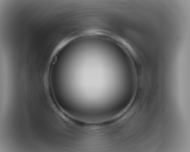 X0000114541373200910191333