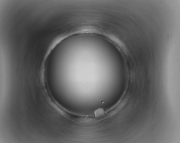 X0000114541374200910191333