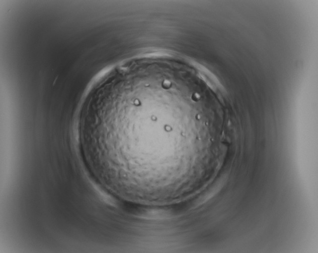 X0000114541375200910191333