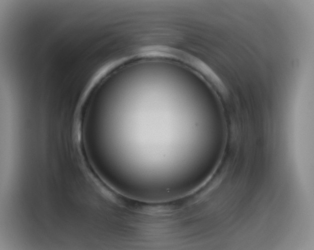 X0000114541376200910191333