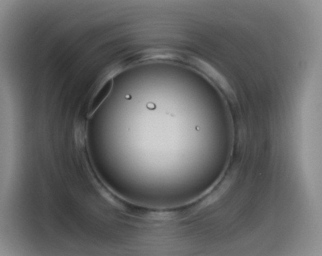 X0000114541377200910191333