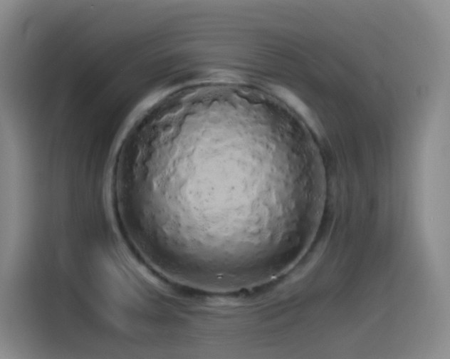 X0000114541379200910191333