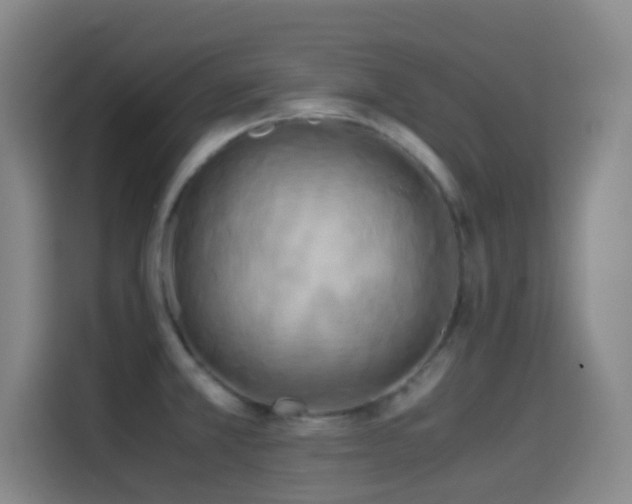 X0000114541381200910191333