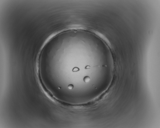 X0000114541383200910191333