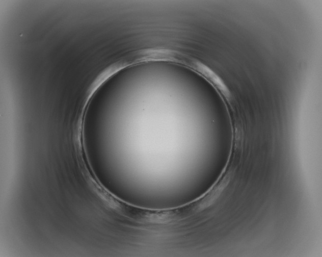 X0000114541386200910191333