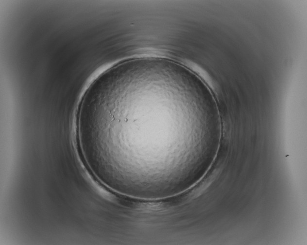 X0000114541387200910191333