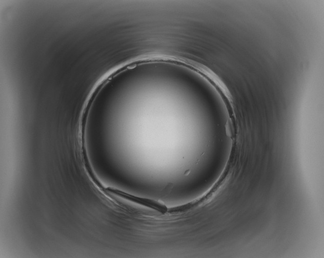 X0000114541388200910191333