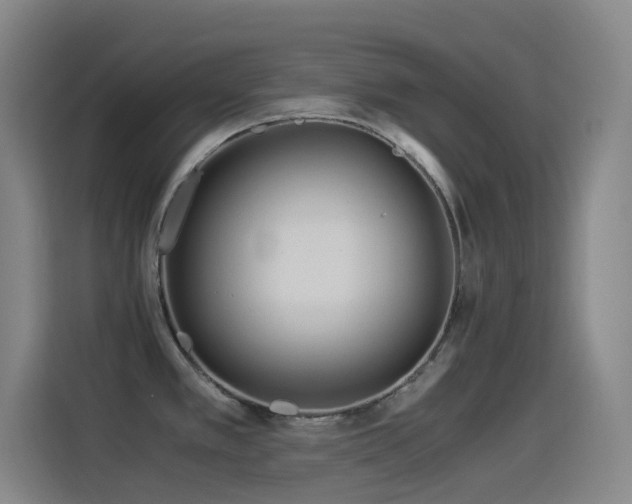 X0000114541389200910191333