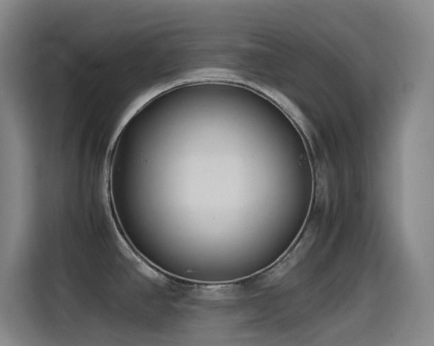 X0000114541390200910191333