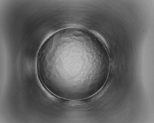 X0000114541391200910191333